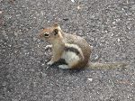 2007-0613-1338-01.jpg